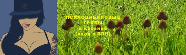 apvp Алексеевка