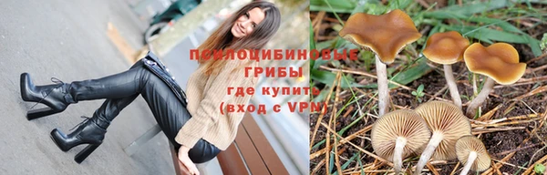 apvp Алексеевка