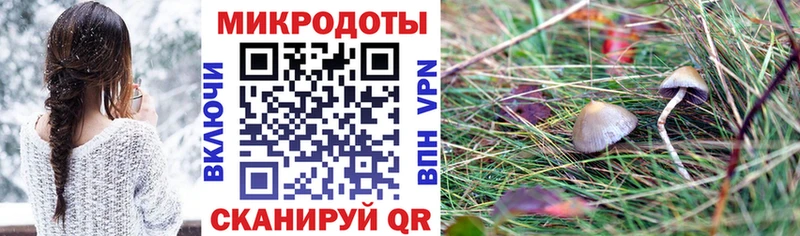 Галлюциногенные грибы мицелий Аргун