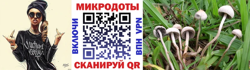 наркошоп  hydra ONION  Псилоцибиновые грибы MAGIC MUSHROOMS  Аргун 