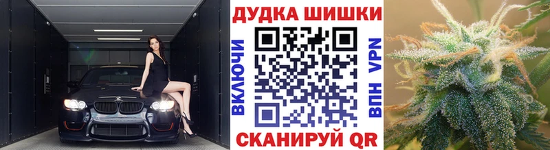 где можно купить наркотик  Аргун  Каннабис индика 